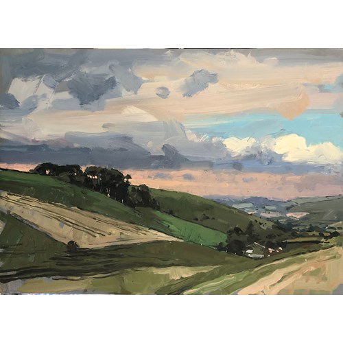 Wood on hill, Dorset 2025